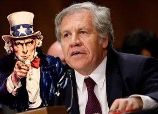 The OAS Trampled Legality in Bringing the PHTK to Power. It’s Doing So Again Trying to Save It.